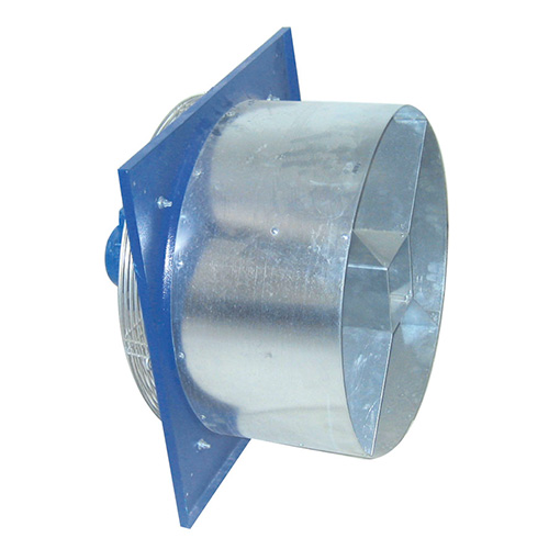 lahav10-500